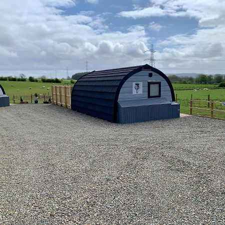 Thistle Pod Farm Stay With Hottub Sleeps 2 Galston  Buitenkant foto