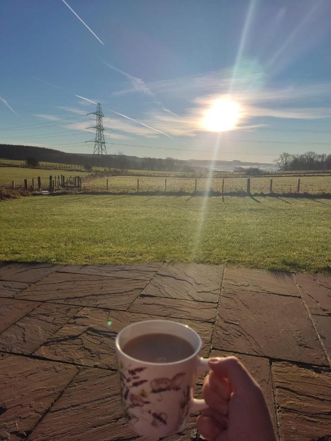 Thistle Pod Farm Stay With Hottub Sleeps 2 Galston  Buitenkant foto